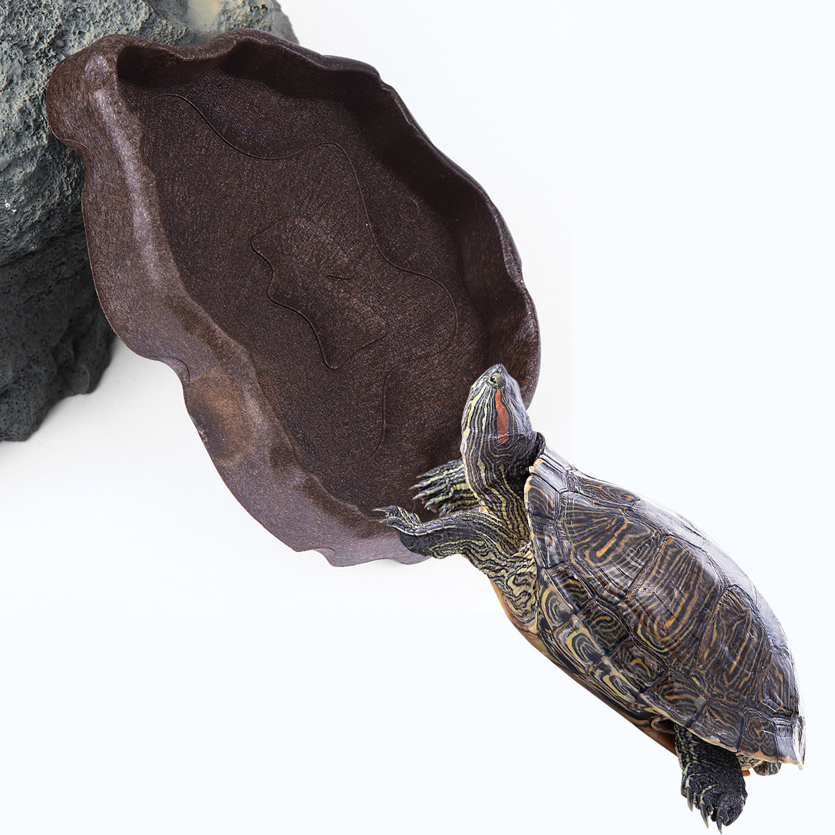 Sürüngen Reçine Yemlik, Kahve  - Water Dish Reptile incelemesi ve fiyatı