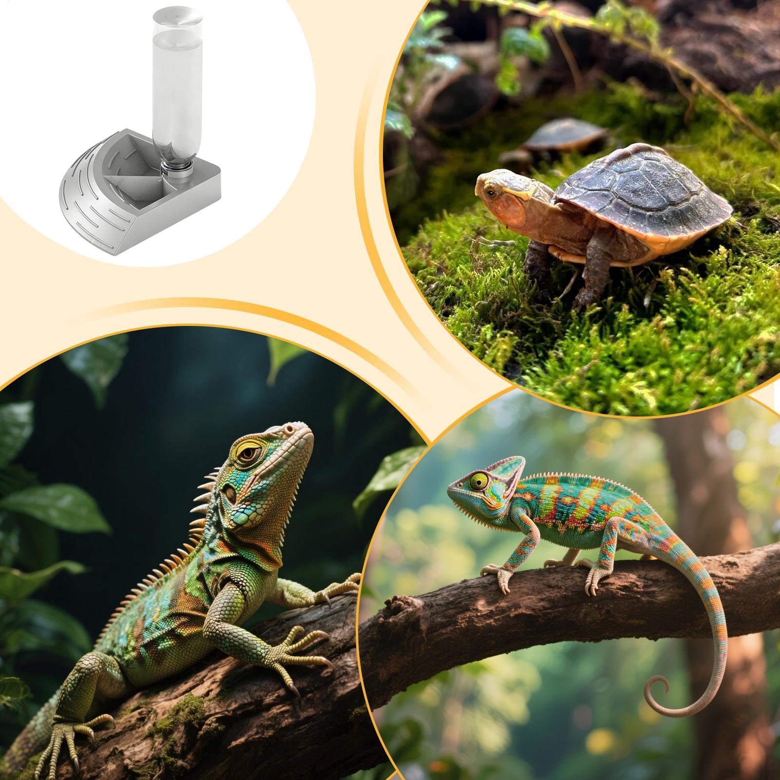 Sürüngen Su Sebili 2'si 1 Arad - Water Dish Reptile incelemesi ve fiyatı