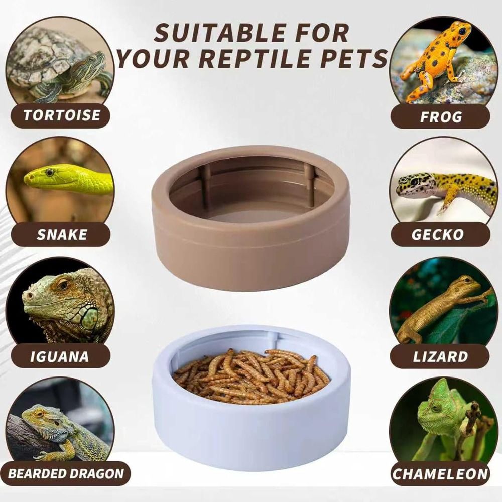 Taşınabilir Kaçışa Dayanıklı S - Water Dish Reptile incelemesi ve fiyatı