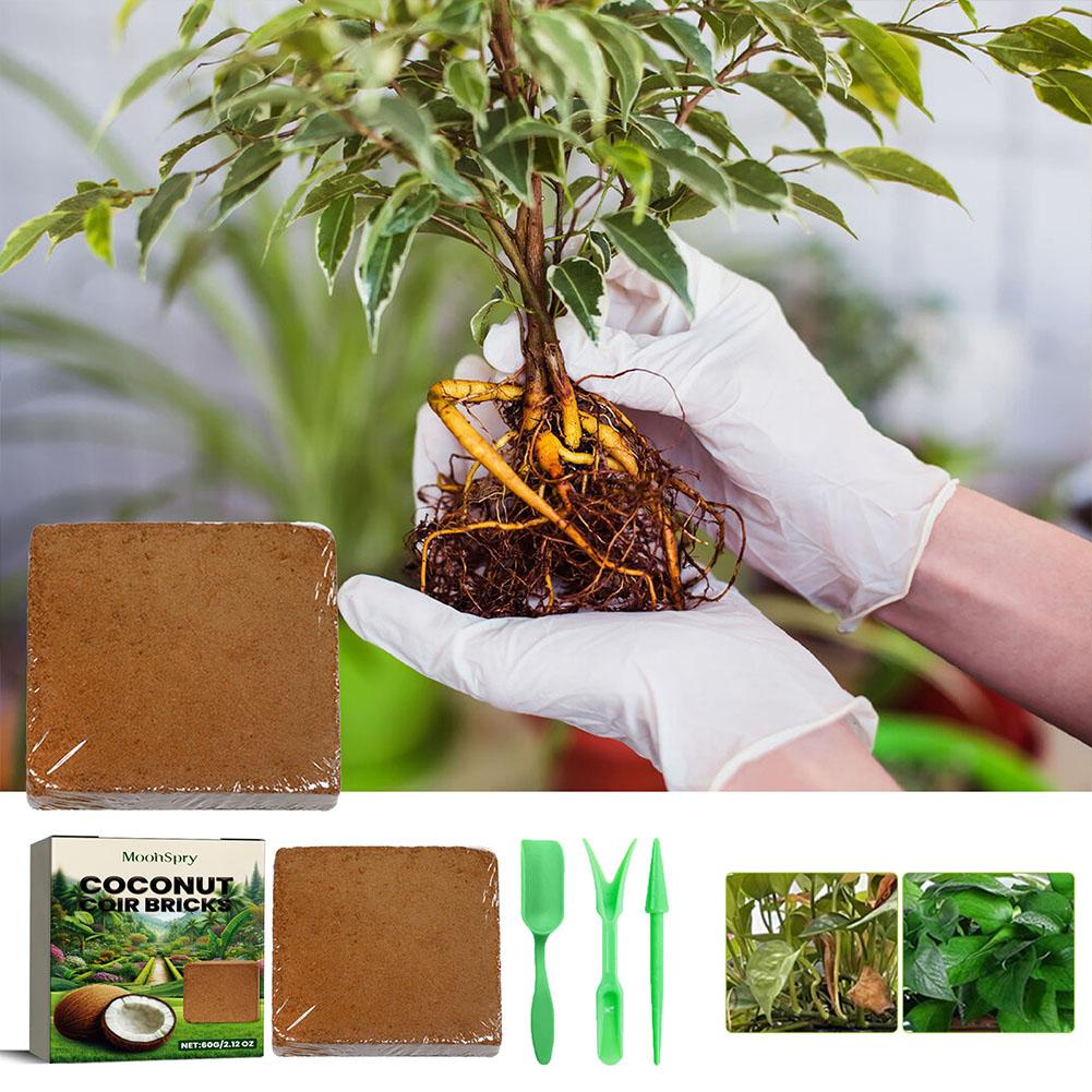 Hindistan Cevizi Lifi Tuğlası  - Substrate Coconut Fiber incelemesi ve fiyatı