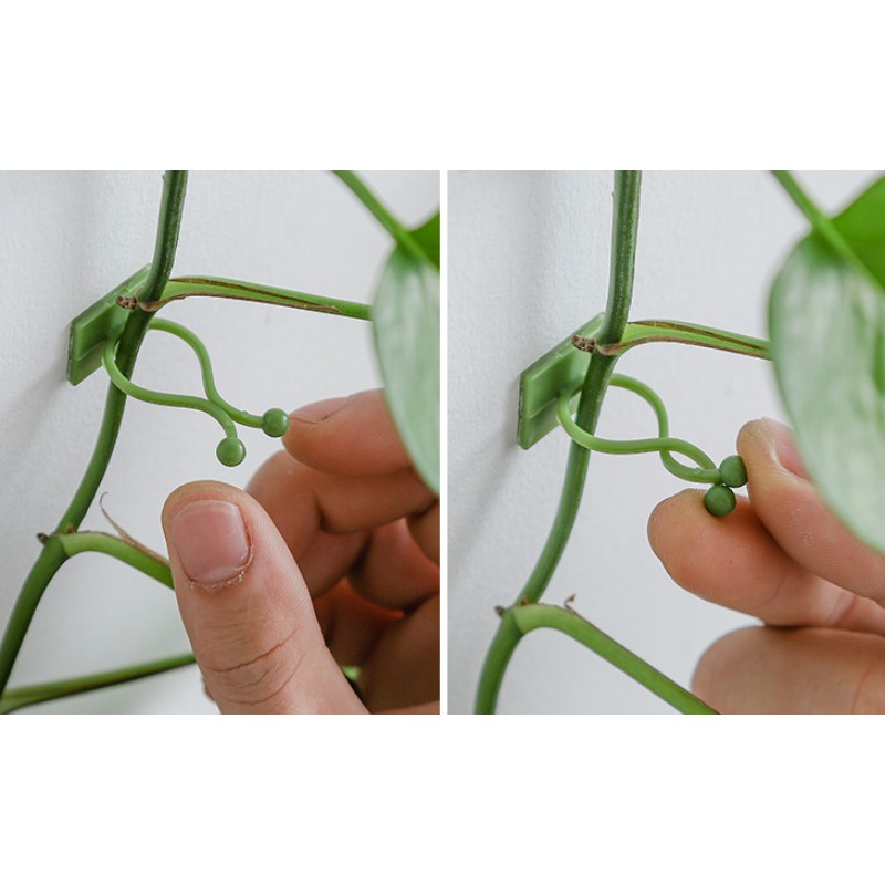 10 adet bitki duvar sabitleme  - Vine Climbing Plastic incelemesi ve fiyatı