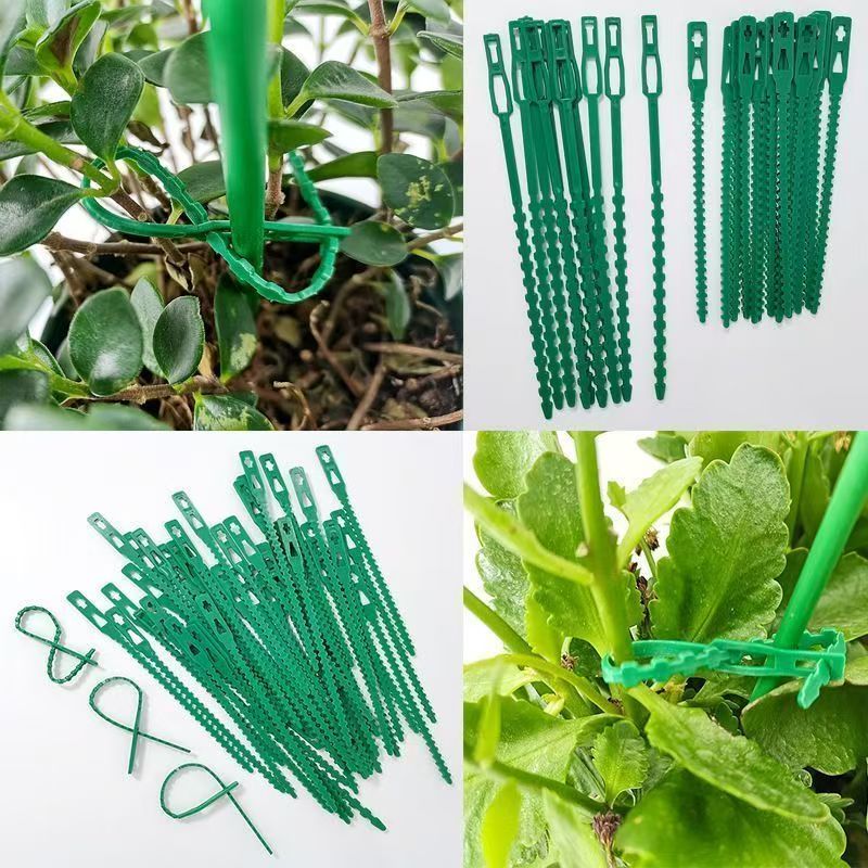 Yeşil Yeniden Kullanılabilir B - Vine Climbing Plastic incelemesi ve fiyatı