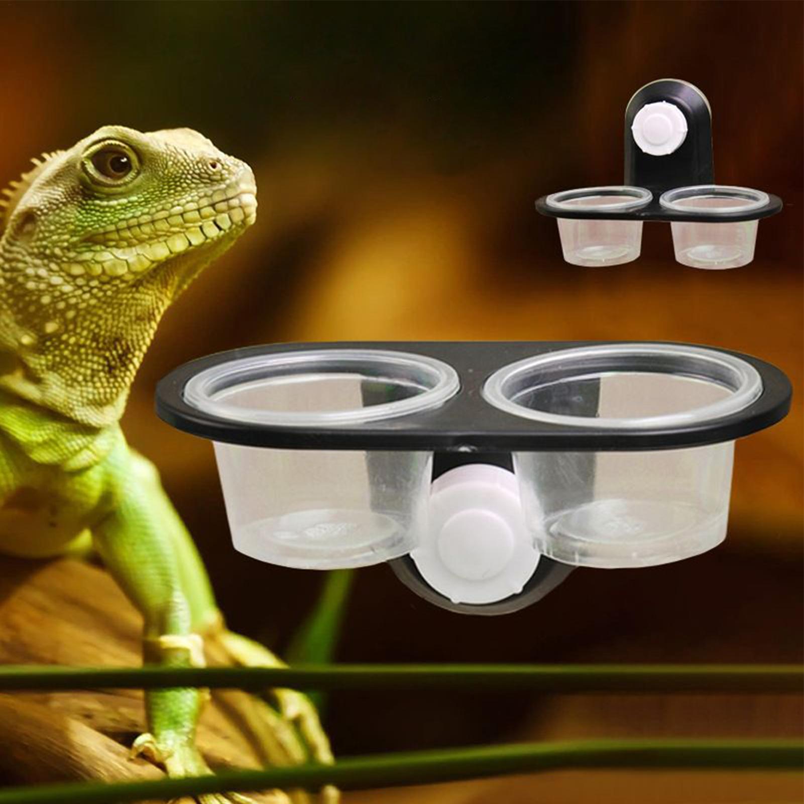 Gecko yiyecek kabı su kabı sür - Water Dish Reptile incelemesi ve fiyatı