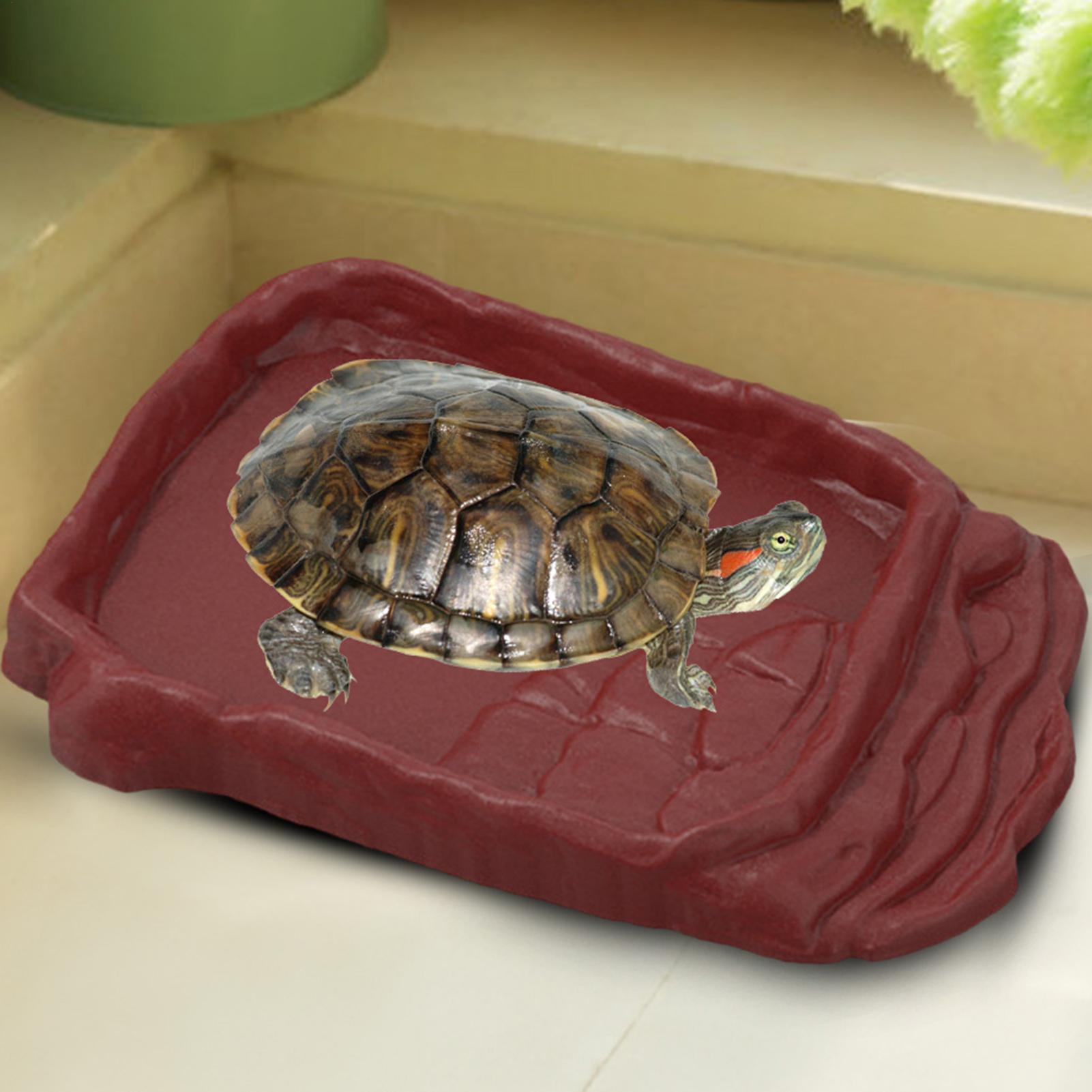 Kaplumbağa Küveti Su Kabı Kaym - Water Dish Reptile incelemesi ve fiyatı